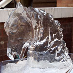 Horse Head Demo