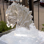 Horse Head Demo
