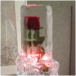 Rose Centerpiece