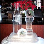 Happy 2008