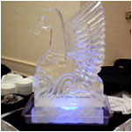 Swan