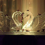 Double Swans